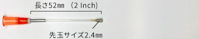 5204K